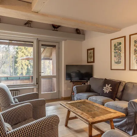 Casa Funivia, Immersa Nel E Vicina Al Centro Di Cortina Cortina d'Ampezzo