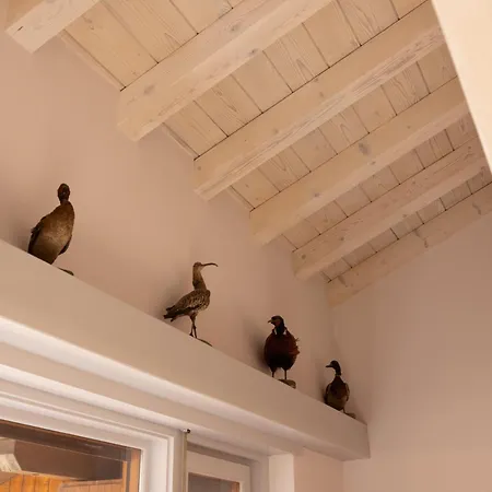 Casa Funivia, Immersa Nel E Vicina Al Centro Di Cortina * קורטינה ד'אמפזו